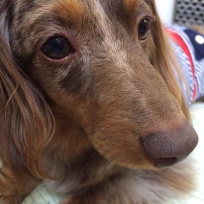 すーさそのトーク