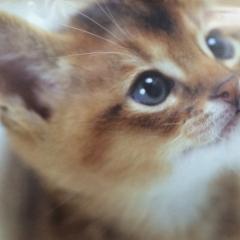 30代女性友達募集中