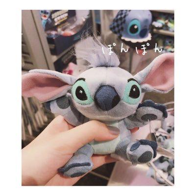 きちゃん