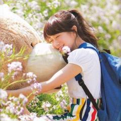 乃木坂 まなったん推し 翼