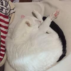 あさば まさひろのトーク