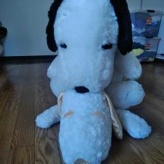 UFOキャッチャーでスヌーピーのねいぐるみ取ったよ♥