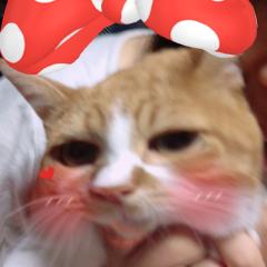 宮下明美のトーク