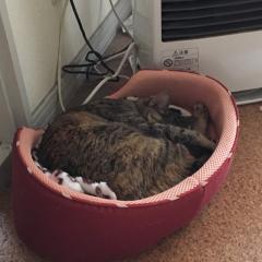 むーさん