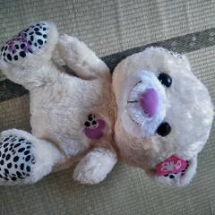 くまのぬいぐるみ15個取ったよ。100円で1発で取ったよ。