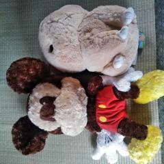 UFOキャッチャーで取ったよ