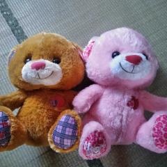 UFOキャッチャーで取ったよ。