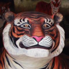 Mio Konakaのトーク