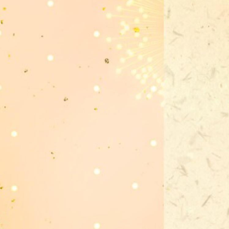 GO suzukiのトーク