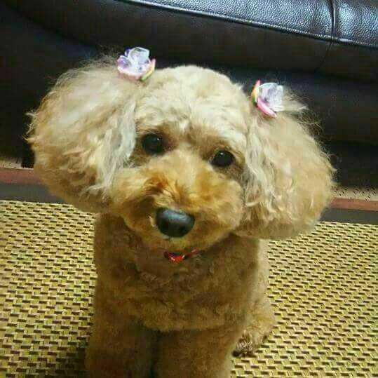 ♡  大切な人 ♡