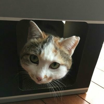 りば〜ふぃ〜るど
