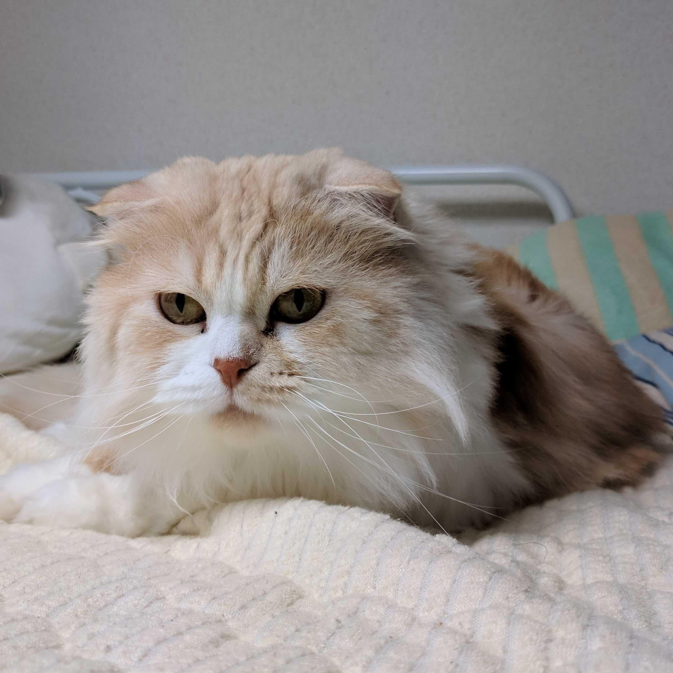 渡辺さん