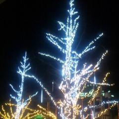 ✨思い出の部屋✨