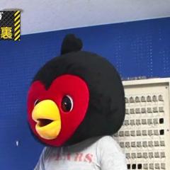 メビつば九郎