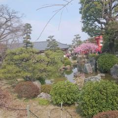 めっしゅのトーク