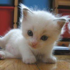 たーくん@うら垢