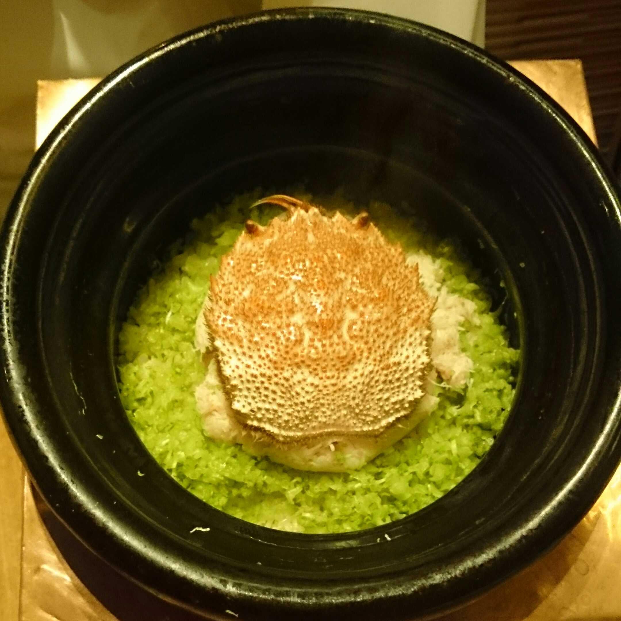 きのさる