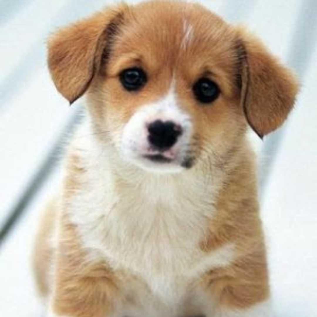 返信リートク用