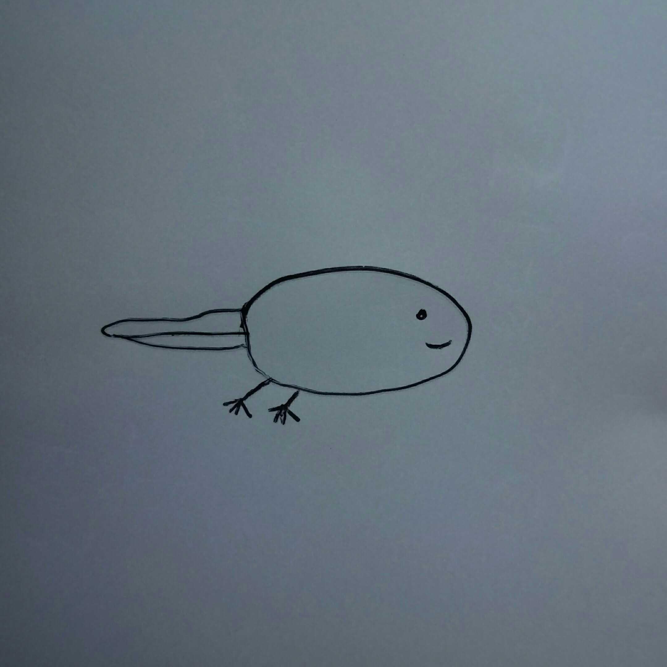 上野です(上ピーから本名の苗字に改名)