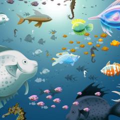 フィッシュオイルマン