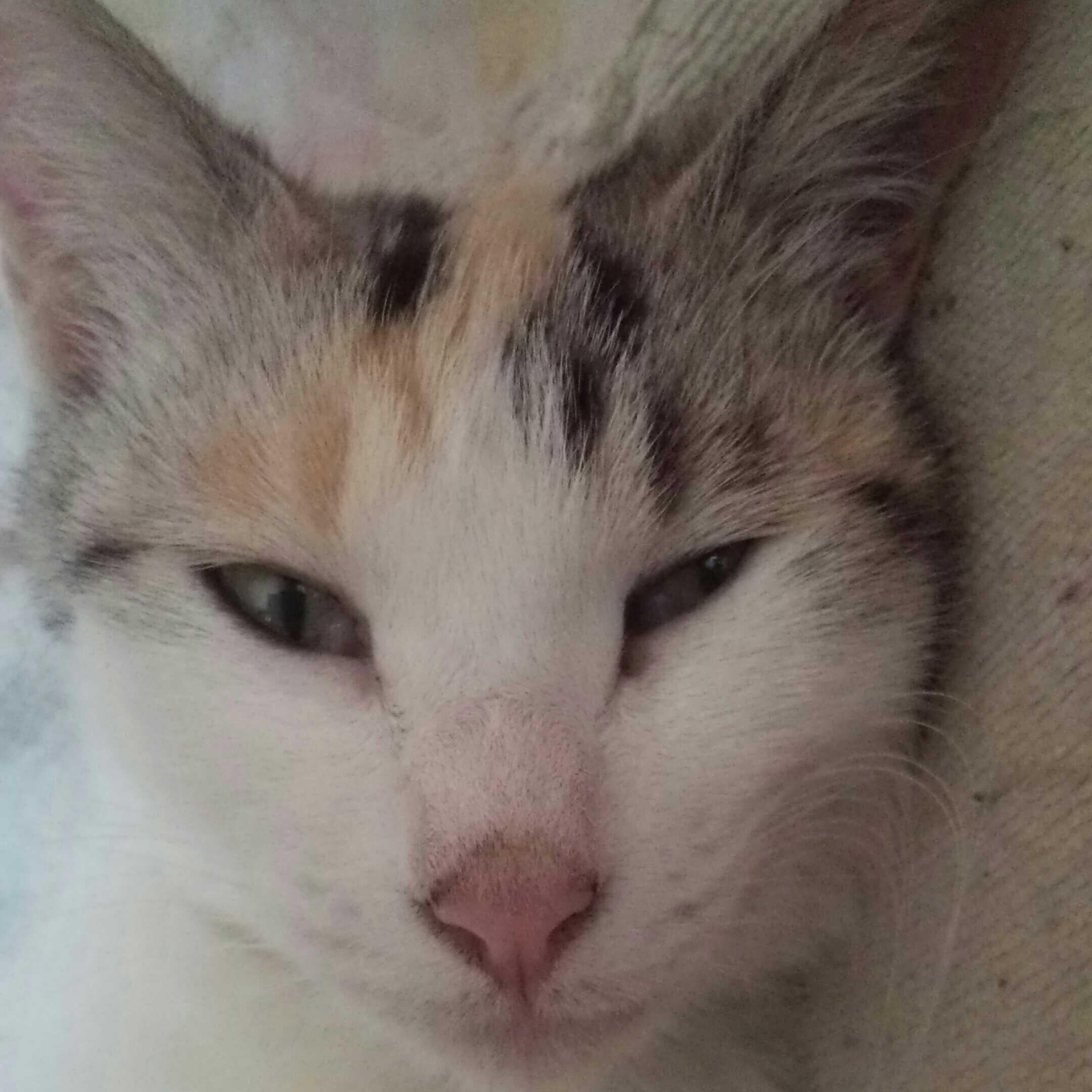 ひろゆき@モカフレンド