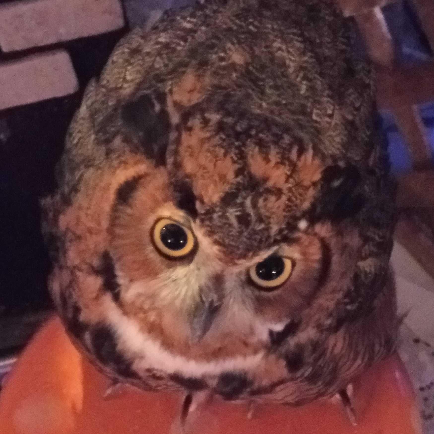 お話しましょう！