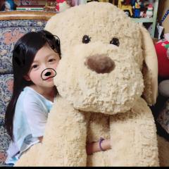 ひかっち！のトーク