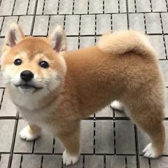 つった