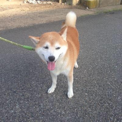 KotobukiOnoのトーク