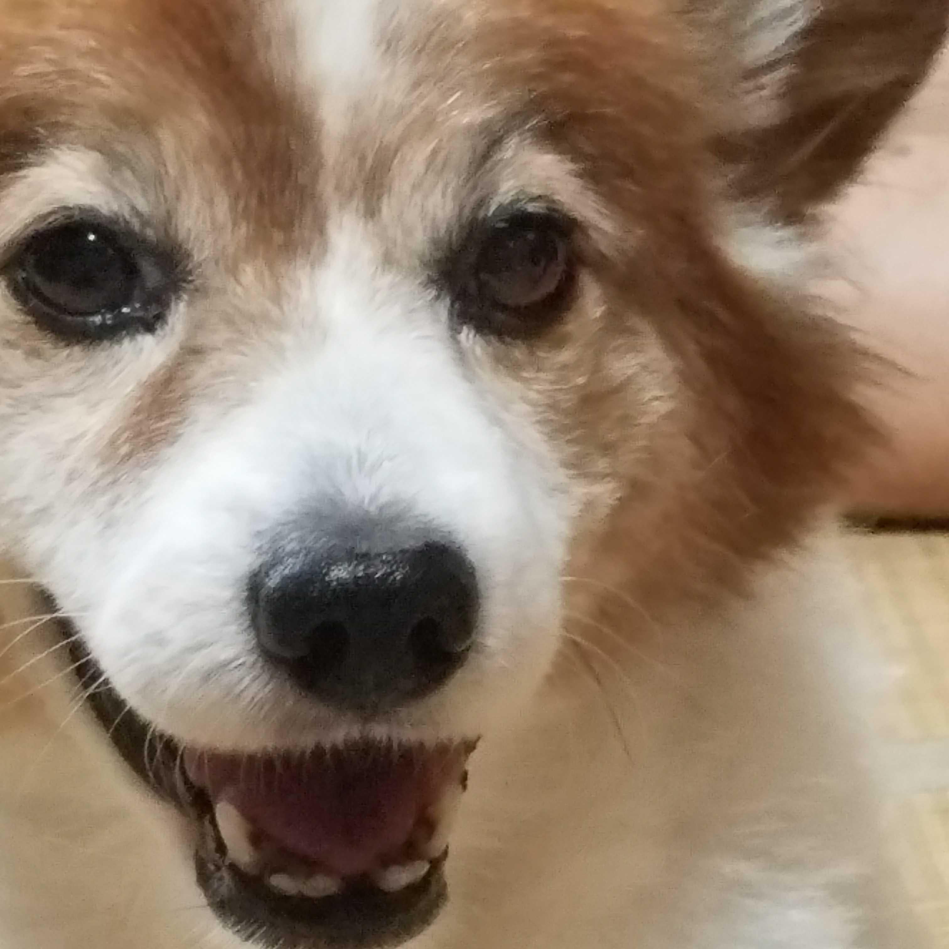 北山宏光のトーク