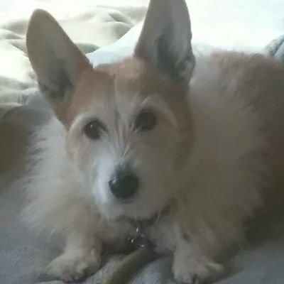 (755)仲良くしよう‼