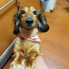 ともき