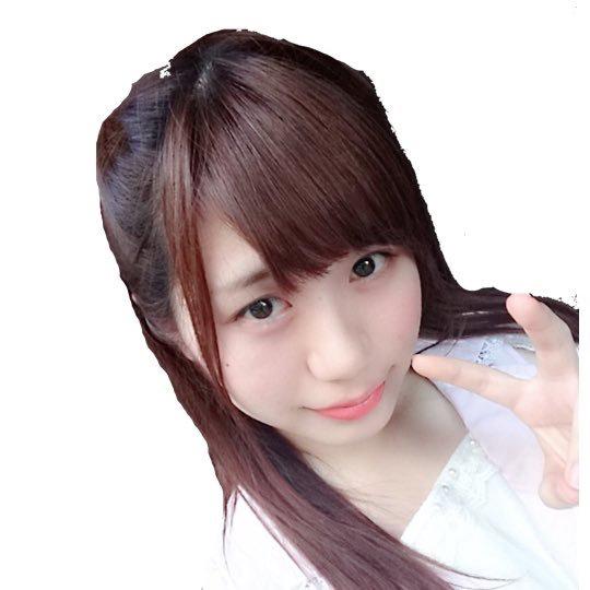 チワワฅ՞•ﻌ•՞ฅのかかりちょ