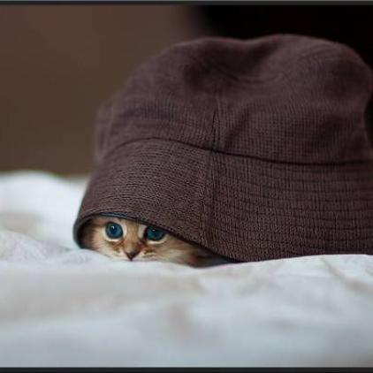 名無しのぺーのトーク