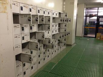 たった 顔は縄文式心は弥生式🐧🐧🐧