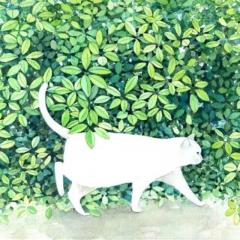 コーギーのトーク