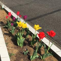 タカヒロのトーク