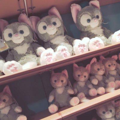 (*_*)みゆき