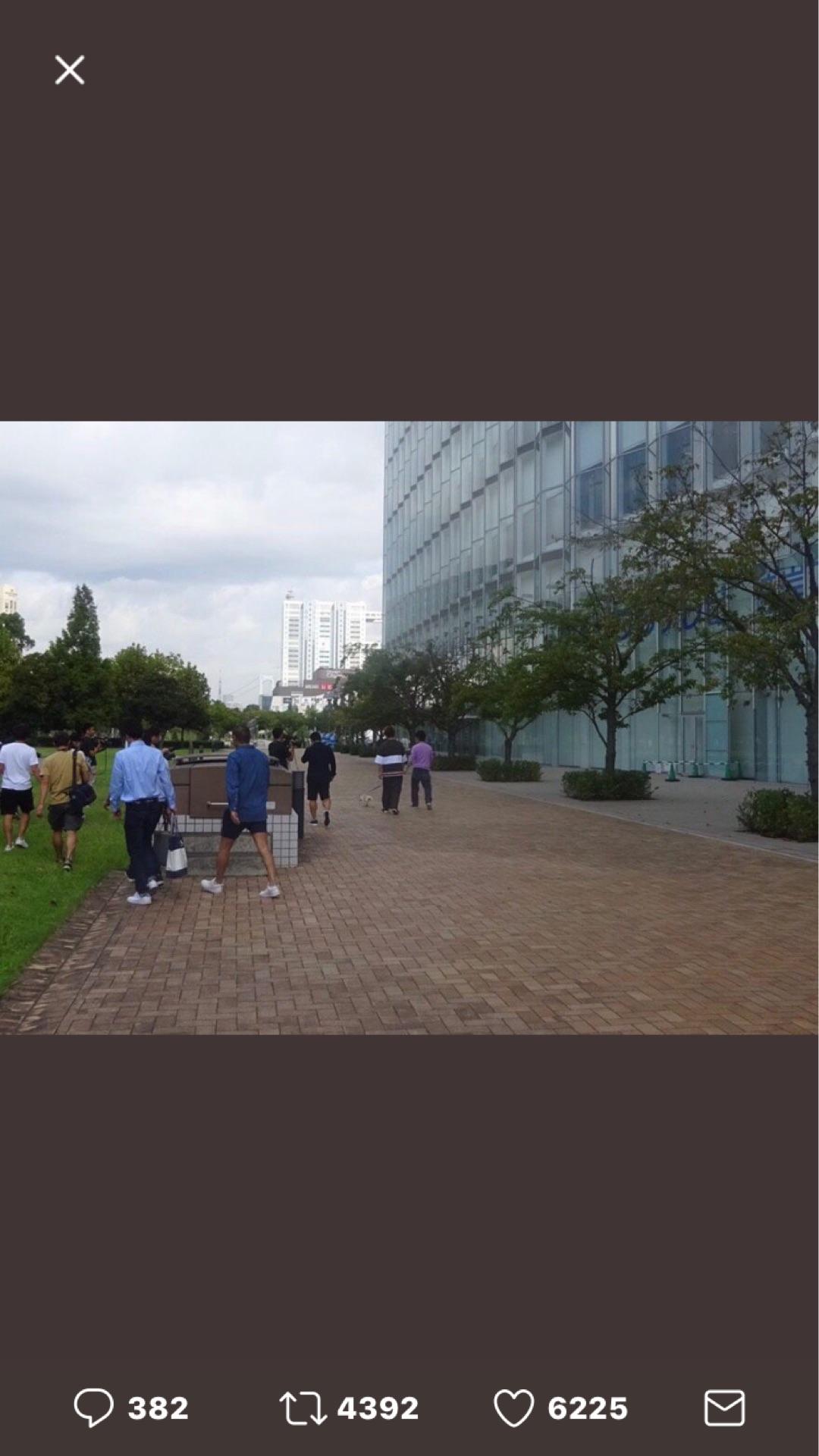 投稿画像