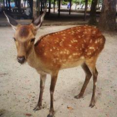 まったり日常トーク