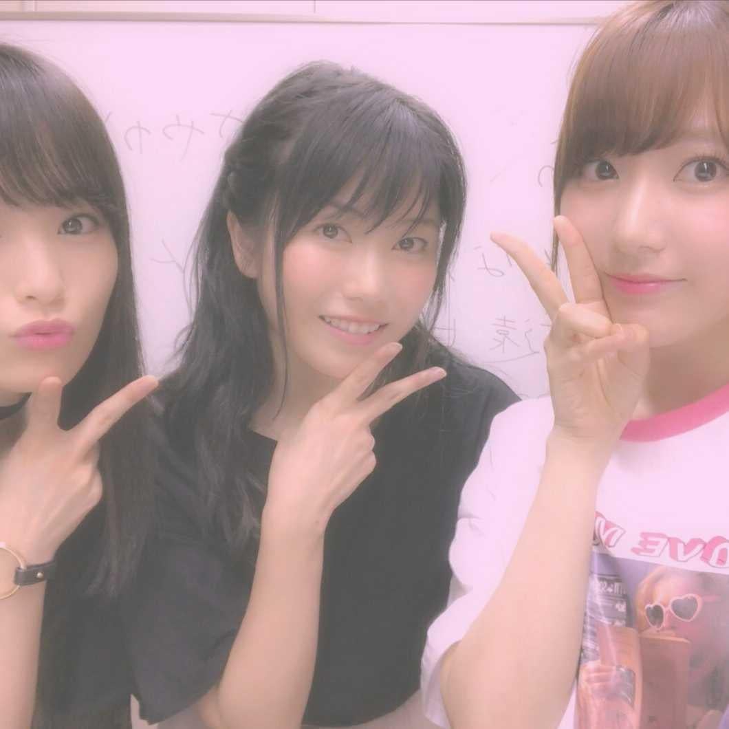 🌷🌹はんたんねぇ🌹🐈