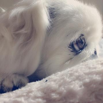 ◎のトーク