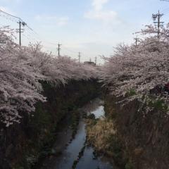 ゆったり独り言