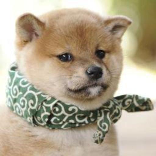 うめはん(uk0711)