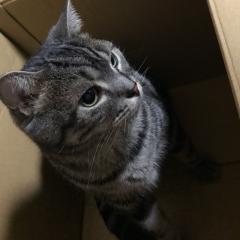 慎之介