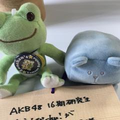 サンフィッシュの引用履歴