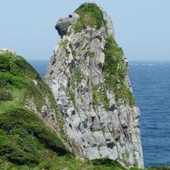 暇な人　話しましょう！！