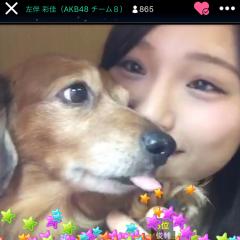 引用ボックス🐼🐾