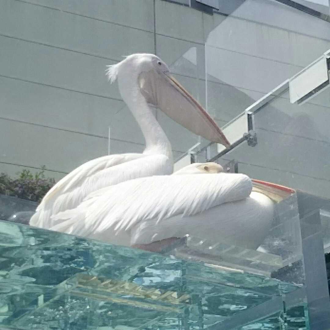 くら