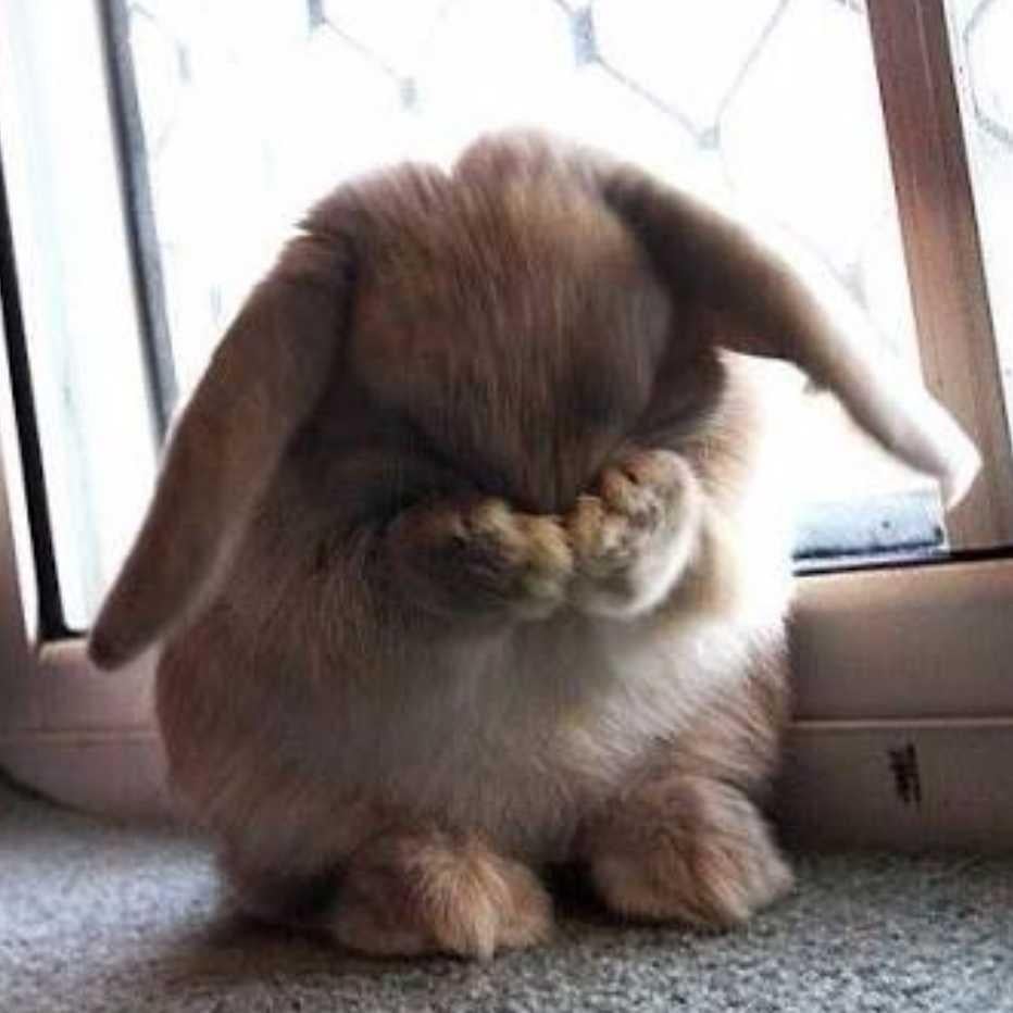 fuku×2 しにました